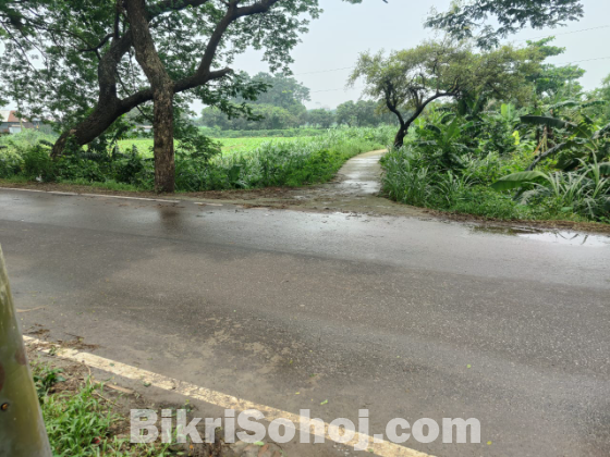 ভাকুর্তায় জমি বিক্রয়